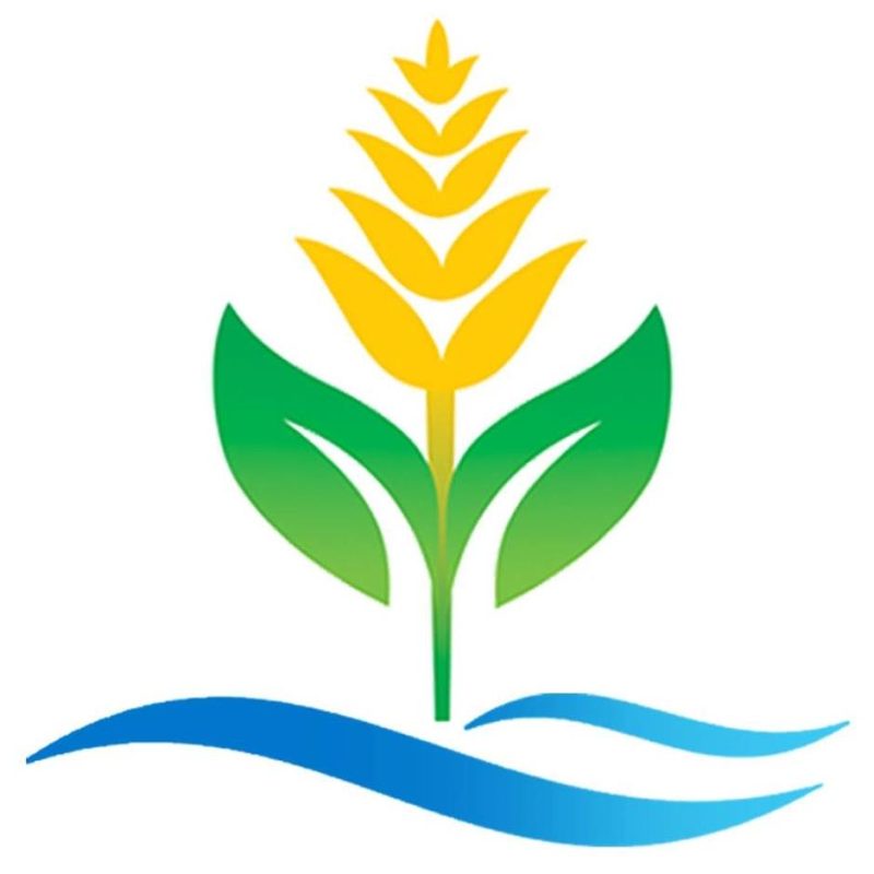 GRAINSMART