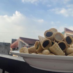 cone-bite3