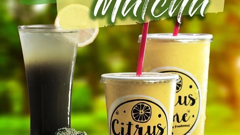 lemon-matcha-zen-coolor