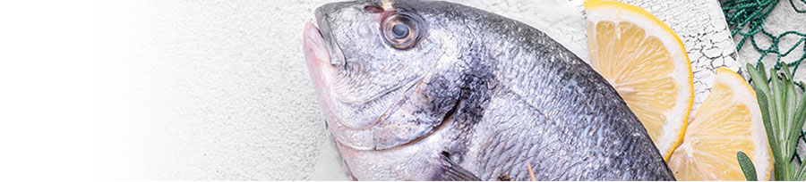 Fish2Go